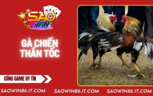 ga-chien-than-toc