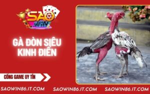 ga-don-sieu-kinh-dien-bia