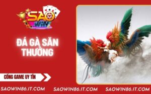 ga-ga-san-thuong-bia