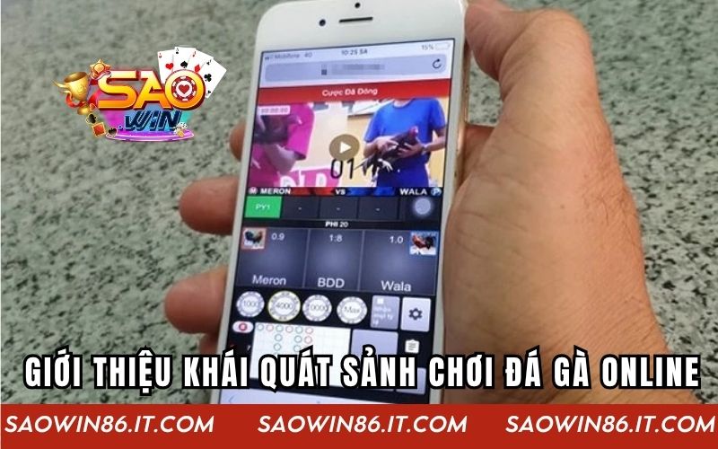 Giới thiệu khái quát sảnh chơi đá gà online hấp dẫn