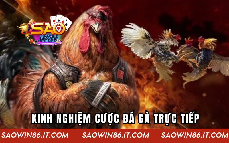 Live Gà Mỗi Ngày | Trải Nghiệm Đỉnh Cao Ở Thế Giới Online Kinh nghiệm cược đá gà trực tiếp