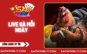 live-ga-moi-ngay-bia