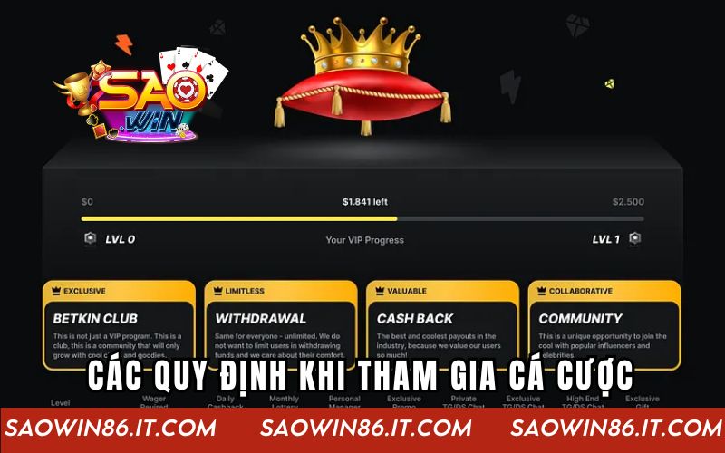 Casino Vip Club | Sân Chơi Dành Cho Tín Đồ Đam Mê Cá Cược Các quy định khi tham gia cá cược