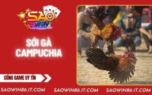 soi-ga-campuchia-bia