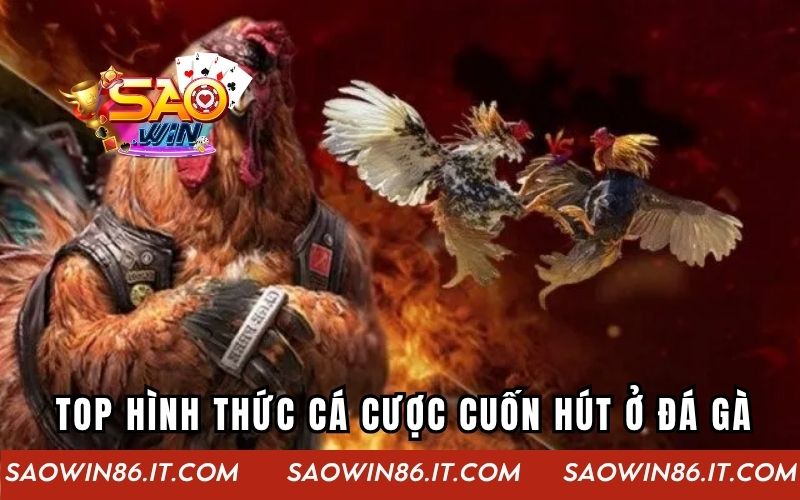 Top hình thức cá cược cuốn hút ở đá gà online