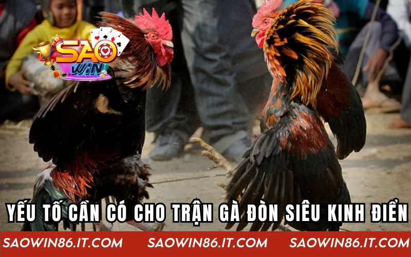 Gà Đòn Siêu Kinh Điển | Cuộc Thư Hùng Đỉnh Cao Của Kê Thủ Những yếu tố cần có cho trận gà đòn siêu kinh điển